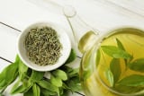 Green Tea Extract 